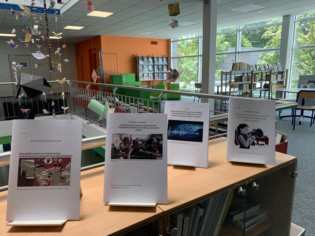 Projet personnel en 11e année Ecole Moser